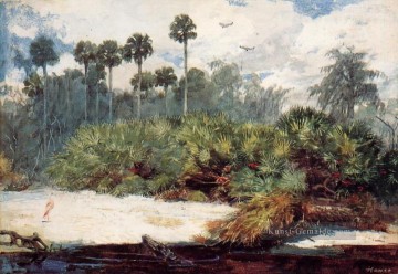 In einem Florida Jungle Realismus maler Winslow Homer Ölgemälde